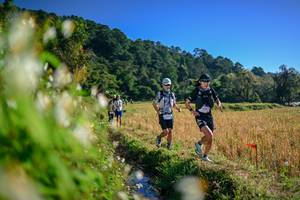 BIB: 
                            <button type="button" onclick="openModal(26571605)" class="btn btn-primary btn-sm float-right btn-popup" data-toggle="modal" data-target=".modal-high-quality">
                        <i class="fas fa-shopping-cart"></i> Add to Cart
                    </button>
                                            <button type="button" onclick="isThisMe(26571605, true)" class="btn btn-success btn-sm float-right btn-popup btn-isme hidden" data-toggle="tooltip" data-placement="bottom" title="นี่คือรูปของคุณใช่ไหม คลิกที่นี่เพื่อเอาเข้าอัลบั้ม">
                        <i class="fas fa-plus"></i> Add to album
                    </button>
                    <button type="button" onclick="isThisMe(26571605, false)" class="btn btn-warning btn-sm float-right btn-popup btn-isnotme hidden">
                        <i class="fas fa-ban"></i> Remove from album
                    </button>