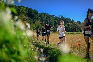 BIB: 
                            <button type="button" onclick="openModal(26575089)" class="btn btn-primary btn-sm float-right btn-popup" data-toggle="modal" data-target=".modal-high-quality">
                        <i class="fas fa-shopping-cart"></i> Add to Cart
                    </button>
                                            <button type="button" onclick="isThisMe(26575089, true)" class="btn btn-success btn-sm float-right btn-popup btn-isme hidden" data-toggle="tooltip" data-placement="bottom" title="นี่คือรูปของคุณใช่ไหม คลิกที่นี่เพื่อเอาเข้าอัลบั้ม">
                        <i class="fas fa-plus"></i> Add to album
                    </button>
                    <button type="button" onclick="isThisMe(26575089, false)" class="btn btn-warning btn-sm float-right btn-popup btn-isnotme hidden">
                        <i class="fas fa-ban"></i> Remove from album
                    </button>