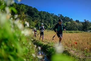 BIB: 
                            <button type="button" onclick="openModal(26574905)" class="btn btn-primary btn-sm float-right btn-popup" data-toggle="modal" data-target=".modal-high-quality">
                        <i class="fas fa-shopping-cart"></i> Add to Cart
                    </button>
                                            <button type="button" onclick="isThisMe(26574905, true)" class="btn btn-success btn-sm float-right btn-popup btn-isme hidden" data-toggle="tooltip" data-placement="bottom" title="นี่คือรูปของคุณใช่ไหม คลิกที่นี่เพื่อเอาเข้าอัลบั้ม">
                        <i class="fas fa-plus"></i> Add to album
                    </button>
                    <button type="button" onclick="isThisMe(26574905, false)" class="btn btn-warning btn-sm float-right btn-popup btn-isnotme hidden">
                        <i class="fas fa-ban"></i> Remove from album
                    </button>