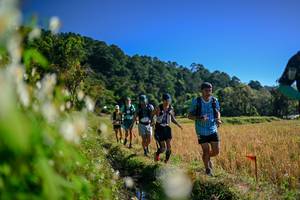 BIB: 
                            <button type="button" onclick="openModal(26572745)" class="btn btn-primary btn-sm float-right btn-popup" data-toggle="modal" data-target=".modal-high-quality">
                        <i class="fas fa-shopping-cart"></i> Add to Cart
                    </button>
                                            <button type="button" onclick="isThisMe(26572745, true)" class="btn btn-success btn-sm float-right btn-popup btn-isme hidden" data-toggle="tooltip" data-placement="bottom" title="นี่คือรูปของคุณใช่ไหม คลิกที่นี่เพื่อเอาเข้าอัลบั้ม">
                        <i class="fas fa-plus"></i> Add to album
                    </button>
                    <button type="button" onclick="isThisMe(26572745, false)" class="btn btn-warning btn-sm float-right btn-popup btn-isnotme hidden">
                        <i class="fas fa-ban"></i> Remove from album
                    </button>