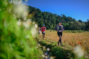 BIB: 
                            <button type="button" onclick="openModal(26572242)" class="btn btn-primary btn-sm float-right btn-popup" data-toggle="modal" data-target=".modal-high-quality">
                        <i class="fas fa-shopping-cart"></i> Add to Cart
                    </button>
                                            <button type="button" onclick="isThisMe(26572242, true)" class="btn btn-success btn-sm float-right btn-popup btn-isme hidden" data-toggle="tooltip" data-placement="bottom" title="นี่คือรูปของคุณใช่ไหม คลิกที่นี่เพื่อเอาเข้าอัลบั้ม">
                        <i class="fas fa-plus"></i> Add to album
                    </button>
                    <button type="button" onclick="isThisMe(26572242, false)" class="btn btn-warning btn-sm float-right btn-popup btn-isnotme hidden">
                        <i class="fas fa-ban"></i> Remove from album
                    </button>