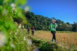 BIB: 
                            <button type="button" onclick="openModal(26581110)" class="btn btn-primary btn-sm float-right btn-popup" data-toggle="modal" data-target=".modal-high-quality">
                        <i class="fas fa-shopping-cart"></i> Add to Cart
                    </button>
                                            <button type="button" onclick="isThisMe(26581110, true)" class="btn btn-success btn-sm float-right btn-popup btn-isme hidden" data-toggle="tooltip" data-placement="bottom" title="นี่คือรูปของคุณใช่ไหม คลิกที่นี่เพื่อเอาเข้าอัลบั้ม">
                        <i class="fas fa-plus"></i> Add to album
                    </button>
                    <button type="button" onclick="isThisMe(26581110, false)" class="btn btn-warning btn-sm float-right btn-popup btn-isnotme hidden">
                        <i class="fas fa-ban"></i> Remove from album
                    </button>