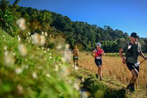 BIB: 
                            <button type="button" onclick="openModal(26571123)" class="btn btn-primary btn-sm float-right btn-popup" data-toggle="modal" data-target=".modal-high-quality">
                        <i class="fas fa-shopping-cart"></i> Add to Cart
                    </button>
                                            <button type="button" onclick="isThisMe(26571123, true)" class="btn btn-success btn-sm float-right btn-popup btn-isme hidden" data-toggle="tooltip" data-placement="bottom" title="นี่คือรูปของคุณใช่ไหม คลิกที่นี่เพื่อเอาเข้าอัลบั้ม">
                        <i class="fas fa-plus"></i> Add to album
                    </button>
                    <button type="button" onclick="isThisMe(26571123, false)" class="btn btn-warning btn-sm float-right btn-popup btn-isnotme hidden">
                        <i class="fas fa-ban"></i> Remove from album
                    </button>