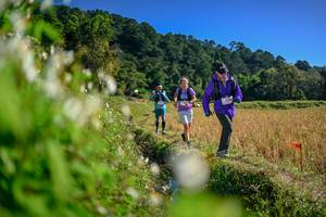 BIB: 
                            <button type="button" onclick="openModal(26573363)" class="btn btn-primary btn-sm float-right btn-popup" data-toggle="modal" data-target=".modal-high-quality">
                        <i class="fas fa-shopping-cart"></i> Add to Cart
                    </button>
                                            <button type="button" onclick="isThisMe(26573363, true)" class="btn btn-success btn-sm float-right btn-popup btn-isme hidden" data-toggle="tooltip" data-placement="bottom" title="นี่คือรูปของคุณใช่ไหม คลิกที่นี่เพื่อเอาเข้าอัลบั้ม">
                        <i class="fas fa-plus"></i> Add to album
                    </button>
                    <button type="button" onclick="isThisMe(26573363, false)" class="btn btn-warning btn-sm float-right btn-popup btn-isnotme hidden">
                        <i class="fas fa-ban"></i> Remove from album
                    </button>