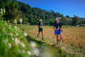 BIB: 
                            <button type="button" onclick="openModal(26575999)" class="btn btn-primary btn-sm float-right btn-popup" data-toggle="modal" data-target=".modal-high-quality">
                        <i class="fas fa-shopping-cart"></i> Add to Cart
                    </button>
                                            <button type="button" onclick="isThisMe(26575999, true)" class="btn btn-success btn-sm float-right btn-popup btn-isme hidden" data-toggle="tooltip" data-placement="bottom" title="นี่คือรูปของคุณใช่ไหม คลิกที่นี่เพื่อเอาเข้าอัลบั้ม">
                        <i class="fas fa-plus"></i> Add to album
                    </button>
                    <button type="button" onclick="isThisMe(26575999, false)" class="btn btn-warning btn-sm float-right btn-popup btn-isnotme hidden">
                        <i class="fas fa-ban"></i> Remove from album
                    </button>