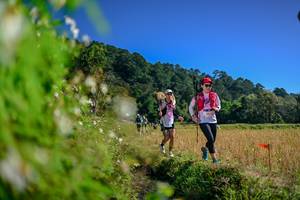 BIB: 
                            <button type="button" onclick="openModal(26580449)" class="btn btn-primary btn-sm float-right btn-popup" data-toggle="modal" data-target=".modal-high-quality">
                        <i class="fas fa-shopping-cart"></i> Add to Cart
                    </button>
                                            <button type="button" onclick="isThisMe(26580449, true)" class="btn btn-success btn-sm float-right btn-popup btn-isme hidden" data-toggle="tooltip" data-placement="bottom" title="นี่คือรูปของคุณใช่ไหม คลิกที่นี่เพื่อเอาเข้าอัลบั้ม">
                        <i class="fas fa-plus"></i> Add to album
                    </button>
                    <button type="button" onclick="isThisMe(26580449, false)" class="btn btn-warning btn-sm float-right btn-popup btn-isnotme hidden">
                        <i class="fas fa-ban"></i> Remove from album
                    </button>