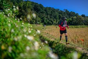 BIB: 
                            <button type="button" onclick="openModal(26582510)" class="btn btn-primary btn-sm float-right btn-popup" data-toggle="modal" data-target=".modal-high-quality">
                        <i class="fas fa-shopping-cart"></i> Add to Cart
                    </button>
                                            <button type="button" onclick="isThisMe(26582510, true)" class="btn btn-success btn-sm float-right btn-popup btn-isme hidden" data-toggle="tooltip" data-placement="bottom" title="นี่คือรูปของคุณใช่ไหม คลิกที่นี่เพื่อเอาเข้าอัลบั้ม">
                        <i class="fas fa-plus"></i> Add to album
                    </button>
                    <button type="button" onclick="isThisMe(26582510, false)" class="btn btn-warning btn-sm float-right btn-popup btn-isnotme hidden">
                        <i class="fas fa-ban"></i> Remove from album
                    </button>