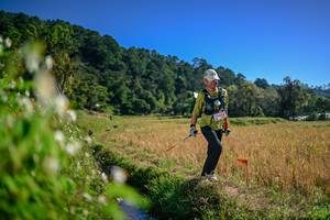 BIB: 
                            <button type="button" onclick="openModal(26575950)" class="btn btn-primary btn-sm float-right btn-popup" data-toggle="modal" data-target=".modal-high-quality">
                        <i class="fas fa-shopping-cart"></i> Add to Cart
                    </button>
                                            <button type="button" onclick="isThisMe(26575950, true)" class="btn btn-success btn-sm float-right btn-popup btn-isme hidden" data-toggle="tooltip" data-placement="bottom" title="นี่คือรูปของคุณใช่ไหม คลิกที่นี่เพื่อเอาเข้าอัลบั้ม">
                        <i class="fas fa-plus"></i> Add to album
                    </button>
                    <button type="button" onclick="isThisMe(26575950, false)" class="btn btn-warning btn-sm float-right btn-popup btn-isnotme hidden">
                        <i class="fas fa-ban"></i> Remove from album
                    </button>