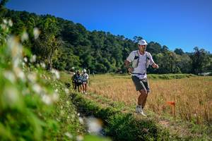 BIB: 
                            <button type="button" onclick="openModal(26575494)" class="btn btn-primary btn-sm float-right btn-popup" data-toggle="modal" data-target=".modal-high-quality">
                        <i class="fas fa-shopping-cart"></i> Add to Cart
                    </button>
                                            <button type="button" onclick="isThisMe(26575494, true)" class="btn btn-success btn-sm float-right btn-popup btn-isme hidden" data-toggle="tooltip" data-placement="bottom" title="นี่คือรูปของคุณใช่ไหม คลิกที่นี่เพื่อเอาเข้าอัลบั้ม">
                        <i class="fas fa-plus"></i> Add to album
                    </button>
                    <button type="button" onclick="isThisMe(26575494, false)" class="btn btn-warning btn-sm float-right btn-popup btn-isnotme hidden">
                        <i class="fas fa-ban"></i> Remove from album
                    </button>