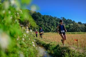 BIB: 
                            <button type="button" onclick="openModal(26580847)" class="btn btn-primary btn-sm float-right btn-popup" data-toggle="modal" data-target=".modal-high-quality">
                        <i class="fas fa-shopping-cart"></i> Add to Cart
                    </button>
                                            <button type="button" onclick="isThisMe(26580847, true)" class="btn btn-success btn-sm float-right btn-popup btn-isme hidden" data-toggle="tooltip" data-placement="bottom" title="นี่คือรูปของคุณใช่ไหม คลิกที่นี่เพื่อเอาเข้าอัลบั้ม">
                        <i class="fas fa-plus"></i> Add to album
                    </button>
                    <button type="button" onclick="isThisMe(26580847, false)" class="btn btn-warning btn-sm float-right btn-popup btn-isnotme hidden">
                        <i class="fas fa-ban"></i> Remove from album
                    </button>