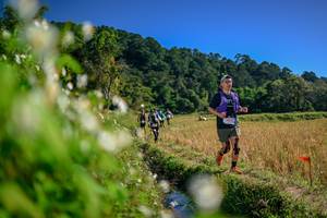 BIB: 
                            <button type="button" onclick="openModal(26574803)" class="btn btn-primary btn-sm float-right btn-popup" data-toggle="modal" data-target=".modal-high-quality">
                        <i class="fas fa-shopping-cart"></i> Add to Cart
                    </button>
                                            <button type="button" onclick="isThisMe(26574803, true)" class="btn btn-success btn-sm float-right btn-popup btn-isme hidden" data-toggle="tooltip" data-placement="bottom" title="นี่คือรูปของคุณใช่ไหม คลิกที่นี่เพื่อเอาเข้าอัลบั้ม">
                        <i class="fas fa-plus"></i> Add to album
                    </button>
                    <button type="button" onclick="isThisMe(26574803, false)" class="btn btn-warning btn-sm float-right btn-popup btn-isnotme hidden">
                        <i class="fas fa-ban"></i> Remove from album
                    </button>