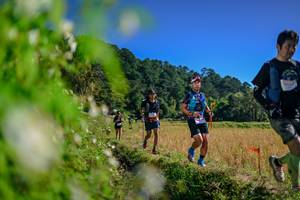 BIB: 
                            <button type="button" onclick="openModal(26580306)" class="btn btn-primary btn-sm float-right btn-popup" data-toggle="modal" data-target=".modal-high-quality">
                        <i class="fas fa-shopping-cart"></i> Add to Cart
                    </button>
                                            <button type="button" onclick="isThisMe(26580306, true)" class="btn btn-success btn-sm float-right btn-popup btn-isme hidden" data-toggle="tooltip" data-placement="bottom" title="นี่คือรูปของคุณใช่ไหม คลิกที่นี่เพื่อเอาเข้าอัลบั้ม">
                        <i class="fas fa-plus"></i> Add to album
                    </button>
                    <button type="button" onclick="isThisMe(26580306, false)" class="btn btn-warning btn-sm float-right btn-popup btn-isnotme hidden">
                        <i class="fas fa-ban"></i> Remove from album
                    </button>