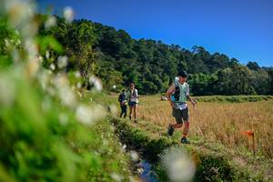 BIB: 
                            <button type="button" onclick="openModal(26573847)" class="btn btn-primary btn-sm float-right btn-popup" data-toggle="modal" data-target=".modal-high-quality">
                        <i class="fas fa-shopping-cart"></i> Add to Cart
                    </button>
                                            <button type="button" onclick="isThisMe(26573847, true)" class="btn btn-success btn-sm float-right btn-popup btn-isme hidden" data-toggle="tooltip" data-placement="bottom" title="นี่คือรูปของคุณใช่ไหม คลิกที่นี่เพื่อเอาเข้าอัลบั้ม">
                        <i class="fas fa-plus"></i> Add to album
                    </button>
                    <button type="button" onclick="isThisMe(26573847, false)" class="btn btn-warning btn-sm float-right btn-popup btn-isnotme hidden">
                        <i class="fas fa-ban"></i> Remove from album
                    </button>