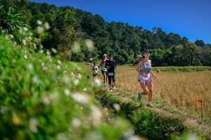 BIB: 
                            <button type="button" onclick="openModal(26582156)" class="btn btn-primary btn-sm float-right btn-popup" data-toggle="modal" data-target=".modal-high-quality">
                        <i class="fas fa-shopping-cart"></i> Add to Cart
                    </button>
                                            <button type="button" onclick="isThisMe(26582156, true)" class="btn btn-success btn-sm float-right btn-popup btn-isme hidden" data-toggle="tooltip" data-placement="bottom" title="นี่คือรูปของคุณใช่ไหม คลิกที่นี่เพื่อเอาเข้าอัลบั้ม">
                        <i class="fas fa-plus"></i> Add to album
                    </button>
                    <button type="button" onclick="isThisMe(26582156, false)" class="btn btn-warning btn-sm float-right btn-popup btn-isnotme hidden">
                        <i class="fas fa-ban"></i> Remove from album
                    </button>