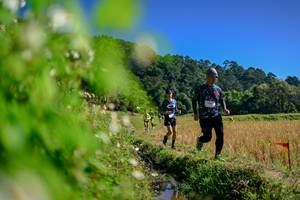 BIB: 
                            <button type="button" onclick="openModal(26580876)" class="btn btn-primary btn-sm float-right btn-popup" data-toggle="modal" data-target=".modal-high-quality">
                        <i class="fas fa-shopping-cart"></i> Add to Cart
                    </button>
                                            <button type="button" onclick="isThisMe(26580876, true)" class="btn btn-success btn-sm float-right btn-popup btn-isme hidden" data-toggle="tooltip" data-placement="bottom" title="นี่คือรูปของคุณใช่ไหม คลิกที่นี่เพื่อเอาเข้าอัลบั้ม">
                        <i class="fas fa-plus"></i> Add to album
                    </button>
                    <button type="button" onclick="isThisMe(26580876, false)" class="btn btn-warning btn-sm float-right btn-popup btn-isnotme hidden">
                        <i class="fas fa-ban"></i> Remove from album
                    </button>