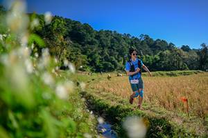 BIB: 
                            <button type="button" onclick="openModal(26572922)" class="btn btn-primary btn-sm float-right btn-popup" data-toggle="modal" data-target=".modal-high-quality">
                        <i class="fas fa-shopping-cart"></i> Add to Cart
                    </button>
                                            <button type="button" onclick="isThisMe(26572922, true)" class="btn btn-success btn-sm float-right btn-popup btn-isme hidden" data-toggle="tooltip" data-placement="bottom" title="นี่คือรูปของคุณใช่ไหม คลิกที่นี่เพื่อเอาเข้าอัลบั้ม">
                        <i class="fas fa-plus"></i> Add to album
                    </button>
                    <button type="button" onclick="isThisMe(26572922, false)" class="btn btn-warning btn-sm float-right btn-popup btn-isnotme hidden">
                        <i class="fas fa-ban"></i> Remove from album
                    </button>