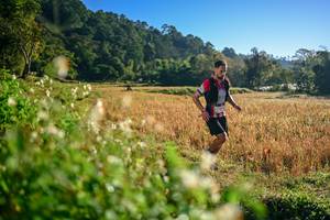 BIB: 
                            <button type="button" onclick="openModal(26570275)" class="btn btn-primary btn-sm float-right btn-popup" data-toggle="modal" data-target=".modal-high-quality">
                        <i class="fas fa-shopping-cart"></i> Add to Cart
                    </button>
                                            <button type="button" onclick="isThisMe(26570275, true)" class="btn btn-success btn-sm float-right btn-popup btn-isme hidden" data-toggle="tooltip" data-placement="bottom" title="นี่คือรูปของคุณใช่ไหม คลิกที่นี่เพื่อเอาเข้าอัลบั้ม">
                        <i class="fas fa-plus"></i> Add to album
                    </button>
                    <button type="button" onclick="isThisMe(26570275, false)" class="btn btn-warning btn-sm float-right btn-popup btn-isnotme hidden">
                        <i class="fas fa-ban"></i> Remove from album
                    </button>