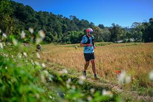 BIB: 
                            <button type="button" onclick="openModal(26575793)" class="btn btn-primary btn-sm float-right btn-popup" data-toggle="modal" data-target=".modal-high-quality">
                        <i class="fas fa-shopping-cart"></i> Add to Cart
                    </button>
                                            <button type="button" onclick="isThisMe(26575793, true)" class="btn btn-success btn-sm float-right btn-popup btn-isme hidden" data-toggle="tooltip" data-placement="bottom" title="นี่คือรูปของคุณใช่ไหม คลิกที่นี่เพื่อเอาเข้าอัลบั้ม">
                        <i class="fas fa-plus"></i> Add to album
                    </button>
                    <button type="button" onclick="isThisMe(26575793, false)" class="btn btn-warning btn-sm float-right btn-popup btn-isnotme hidden">
                        <i class="fas fa-ban"></i> Remove from album
                    </button>