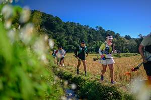 BIB: 
                            <button type="button" onclick="openModal(26572079)" class="btn btn-primary btn-sm float-right btn-popup" data-toggle="modal" data-target=".modal-high-quality">
                        <i class="fas fa-shopping-cart"></i> Add to Cart
                    </button>
                                            <button type="button" onclick="isThisMe(26572079, true)" class="btn btn-success btn-sm float-right btn-popup btn-isme hidden" data-toggle="tooltip" data-placement="bottom" title="นี่คือรูปของคุณใช่ไหม คลิกที่นี่เพื่อเอาเข้าอัลบั้ม">
                        <i class="fas fa-plus"></i> Add to album
                    </button>
                    <button type="button" onclick="isThisMe(26572079, false)" class="btn btn-warning btn-sm float-right btn-popup btn-isnotme hidden">
                        <i class="fas fa-ban"></i> Remove from album
                    </button>