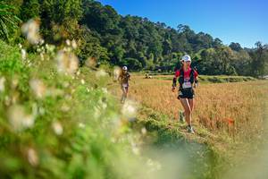 BIB: 
                            <button type="button" onclick="openModal(26570985)" class="btn btn-primary btn-sm float-right btn-popup" data-toggle="modal" data-target=".modal-high-quality">
                        <i class="fas fa-shopping-cart"></i> Add to Cart
                    </button>
                                            <button type="button" onclick="isThisMe(26570985, true)" class="btn btn-success btn-sm float-right btn-popup btn-isme hidden" data-toggle="tooltip" data-placement="bottom" title="นี่คือรูปของคุณใช่ไหม คลิกที่นี่เพื่อเอาเข้าอัลบั้ม">
                        <i class="fas fa-plus"></i> Add to album
                    </button>
                    <button type="button" onclick="isThisMe(26570985, false)" class="btn btn-warning btn-sm float-right btn-popup btn-isnotme hidden">
                        <i class="fas fa-ban"></i> Remove from album
                    </button>