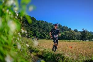 BIB: 
                            <button type="button" onclick="openModal(26579995)" class="btn btn-primary btn-sm float-right btn-popup" data-toggle="modal" data-target=".modal-high-quality">
                        <i class="fas fa-shopping-cart"></i> Add to Cart
                    </button>
                                            <button type="button" onclick="isThisMe(26579995, true)" class="btn btn-success btn-sm float-right btn-popup btn-isme hidden" data-toggle="tooltip" data-placement="bottom" title="นี่คือรูปของคุณใช่ไหม คลิกที่นี่เพื่อเอาเข้าอัลบั้ม">
                        <i class="fas fa-plus"></i> Add to album
                    </button>
                    <button type="button" onclick="isThisMe(26579995, false)" class="btn btn-warning btn-sm float-right btn-popup btn-isnotme hidden">
                        <i class="fas fa-ban"></i> Remove from album
                    </button>