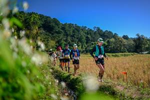 BIB: 
                            <button type="button" onclick="openModal(26575045)" class="btn btn-primary btn-sm float-right btn-popup" data-toggle="modal" data-target=".modal-high-quality">
                        <i class="fas fa-shopping-cart"></i> Add to Cart
                    </button>
                                            <button type="button" onclick="isThisMe(26575045, true)" class="btn btn-success btn-sm float-right btn-popup btn-isme hidden" data-toggle="tooltip" data-placement="bottom" title="นี่คือรูปของคุณใช่ไหม คลิกที่นี่เพื่อเอาเข้าอัลบั้ม">
                        <i class="fas fa-plus"></i> Add to album
                    </button>
                    <button type="button" onclick="isThisMe(26575045, false)" class="btn btn-warning btn-sm float-right btn-popup btn-isnotme hidden">
                        <i class="fas fa-ban"></i> Remove from album
                    </button>