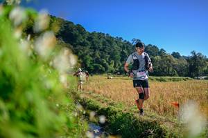 BIB: 
                            <button type="button" onclick="openModal(26571990)" class="btn btn-primary btn-sm float-right btn-popup" data-toggle="modal" data-target=".modal-high-quality">
                        <i class="fas fa-shopping-cart"></i> Add to Cart
                    </button>
                                            <button type="button" onclick="isThisMe(26571990, true)" class="btn btn-success btn-sm float-right btn-popup btn-isme hidden" data-toggle="tooltip" data-placement="bottom" title="นี่คือรูปของคุณใช่ไหม คลิกที่นี่เพื่อเอาเข้าอัลบั้ม">
                        <i class="fas fa-plus"></i> Add to album
                    </button>
                    <button type="button" onclick="isThisMe(26571990, false)" class="btn btn-warning btn-sm float-right btn-popup btn-isnotme hidden">
                        <i class="fas fa-ban"></i> Remove from album
                    </button>