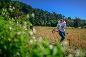 BIB: 
                            <button type="button" onclick="openModal(26581428)" class="btn btn-primary btn-sm float-right btn-popup" data-toggle="modal" data-target=".modal-high-quality">
                        <i class="fas fa-shopping-cart"></i> Add to Cart
                    </button>
                                            <button type="button" onclick="isThisMe(26581428, true)" class="btn btn-success btn-sm float-right btn-popup btn-isme hidden" data-toggle="tooltip" data-placement="bottom" title="นี่คือรูปของคุณใช่ไหม คลิกที่นี่เพื่อเอาเข้าอัลบั้ม">
                        <i class="fas fa-plus"></i> Add to album
                    </button>
                    <button type="button" onclick="isThisMe(26581428, false)" class="btn btn-warning btn-sm float-right btn-popup btn-isnotme hidden">
                        <i class="fas fa-ban"></i> Remove from album
                    </button>