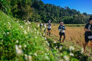 BIB: 
                            <button type="button" onclick="openModal(26571290)" class="btn btn-primary btn-sm float-right btn-popup" data-toggle="modal" data-target=".modal-high-quality">
                        <i class="fas fa-shopping-cart"></i> Add to Cart
                    </button>
                                            <button type="button" onclick="isThisMe(26571290, true)" class="btn btn-success btn-sm float-right btn-popup btn-isme hidden" data-toggle="tooltip" data-placement="bottom" title="นี่คือรูปของคุณใช่ไหม คลิกที่นี่เพื่อเอาเข้าอัลบั้ม">
                        <i class="fas fa-plus"></i> Add to album
                    </button>
                    <button type="button" onclick="isThisMe(26571290, false)" class="btn btn-warning btn-sm float-right btn-popup btn-isnotme hidden">
                        <i class="fas fa-ban"></i> Remove from album
                    </button>