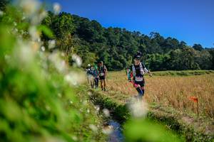 BIB: 
                            <button type="button" onclick="openModal(26574808)" class="btn btn-primary btn-sm float-right btn-popup" data-toggle="modal" data-target=".modal-high-quality">
                        <i class="fas fa-shopping-cart"></i> Add to Cart
                    </button>
                                            <button type="button" onclick="isThisMe(26574808, true)" class="btn btn-success btn-sm float-right btn-popup btn-isme hidden" data-toggle="tooltip" data-placement="bottom" title="นี่คือรูปของคุณใช่ไหม คลิกที่นี่เพื่อเอาเข้าอัลบั้ม">
                        <i class="fas fa-plus"></i> Add to album
                    </button>
                    <button type="button" onclick="isThisMe(26574808, false)" class="btn btn-warning btn-sm float-right btn-popup btn-isnotme hidden">
                        <i class="fas fa-ban"></i> Remove from album
                    </button>