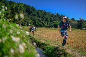 BIB: 
                            <button type="button" onclick="openModal(26582651)" class="btn btn-primary btn-sm float-right btn-popup" data-toggle="modal" data-target=".modal-high-quality">
                        <i class="fas fa-shopping-cart"></i> Add to Cart
                    </button>
                                            <button type="button" onclick="isThisMe(26582651, true)" class="btn btn-success btn-sm float-right btn-popup btn-isme hidden" data-toggle="tooltip" data-placement="bottom" title="นี่คือรูปของคุณใช่ไหม คลิกที่นี่เพื่อเอาเข้าอัลบั้ม">
                        <i class="fas fa-plus"></i> Add to album
                    </button>
                    <button type="button" onclick="isThisMe(26582651, false)" class="btn btn-warning btn-sm float-right btn-popup btn-isnotme hidden">
                        <i class="fas fa-ban"></i> Remove from album
                    </button>