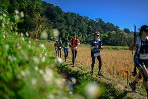 BIB: 
                            <button type="button" onclick="openModal(26576324)" class="btn btn-primary btn-sm float-right btn-popup" data-toggle="modal" data-target=".modal-high-quality">
                        <i class="fas fa-shopping-cart"></i> Add to Cart
                    </button>
                                            <button type="button" onclick="isThisMe(26576324, true)" class="btn btn-success btn-sm float-right btn-popup btn-isme hidden" data-toggle="tooltip" data-placement="bottom" title="นี่คือรูปของคุณใช่ไหม คลิกที่นี่เพื่อเอาเข้าอัลบั้ม">
                        <i class="fas fa-plus"></i> Add to album
                    </button>
                    <button type="button" onclick="isThisMe(26576324, false)" class="btn btn-warning btn-sm float-right btn-popup btn-isnotme hidden">
                        <i class="fas fa-ban"></i> Remove from album
                    </button>