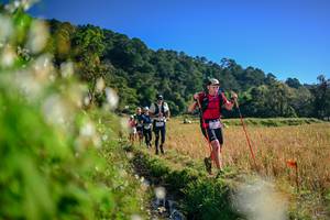 BIB: 
                            <button type="button" onclick="openModal(26571886)" class="btn btn-primary btn-sm float-right btn-popup" data-toggle="modal" data-target=".modal-high-quality">
                        <i class="fas fa-shopping-cart"></i> Add to Cart
                    </button>
                                            <button type="button" onclick="isThisMe(26571886, true)" class="btn btn-success btn-sm float-right btn-popup btn-isme hidden" data-toggle="tooltip" data-placement="bottom" title="นี่คือรูปของคุณใช่ไหม คลิกที่นี่เพื่อเอาเข้าอัลบั้ม">
                        <i class="fas fa-plus"></i> Add to album
                    </button>
                    <button type="button" onclick="isThisMe(26571886, false)" class="btn btn-warning btn-sm float-right btn-popup btn-isnotme hidden">
                        <i class="fas fa-ban"></i> Remove from album
                    </button>