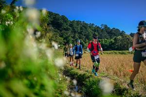 BIB: 
                            <button type="button" onclick="openModal(26574363)" class="btn btn-primary btn-sm float-right btn-popup" data-toggle="modal" data-target=".modal-high-quality">
                        <i class="fas fa-shopping-cart"></i> Add to Cart
                    </button>
                                            <button type="button" onclick="isThisMe(26574363, true)" class="btn btn-success btn-sm float-right btn-popup btn-isme hidden" data-toggle="tooltip" data-placement="bottom" title="นี่คือรูปของคุณใช่ไหม คลิกที่นี่เพื่อเอาเข้าอัลบั้ม">
                        <i class="fas fa-plus"></i> Add to album
                    </button>
                    <button type="button" onclick="isThisMe(26574363, false)" class="btn btn-warning btn-sm float-right btn-popup btn-isnotme hidden">
                        <i class="fas fa-ban"></i> Remove from album
                    </button>