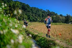 BIB: 
                            <button type="button" onclick="openModal(26582655)" class="btn btn-primary btn-sm float-right btn-popup" data-toggle="modal" data-target=".modal-high-quality">
                        <i class="fas fa-shopping-cart"></i> Add to Cart
                    </button>
                                            <button type="button" onclick="isThisMe(26582655, true)" class="btn btn-success btn-sm float-right btn-popup btn-isme hidden" data-toggle="tooltip" data-placement="bottom" title="นี่คือรูปของคุณใช่ไหม คลิกที่นี่เพื่อเอาเข้าอัลบั้ม">
                        <i class="fas fa-plus"></i> Add to album
                    </button>
                    <button type="button" onclick="isThisMe(26582655, false)" class="btn btn-warning btn-sm float-right btn-popup btn-isnotme hidden">
                        <i class="fas fa-ban"></i> Remove from album
                    </button>