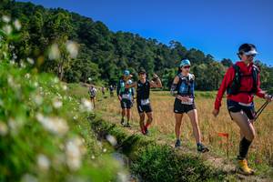 BIB: 
                            <button type="button" onclick="openModal(26582769)" class="btn btn-primary btn-sm float-right btn-popup" data-toggle="modal" data-target=".modal-high-quality">
                        <i class="fas fa-shopping-cart"></i> Add to Cart
                    </button>
                                            <button type="button" onclick="isThisMe(26582769, true)" class="btn btn-success btn-sm float-right btn-popup btn-isme hidden" data-toggle="tooltip" data-placement="bottom" title="นี่คือรูปของคุณใช่ไหม คลิกที่นี่เพื่อเอาเข้าอัลบั้ม">
                        <i class="fas fa-plus"></i> Add to album
                    </button>
                    <button type="button" onclick="isThisMe(26582769, false)" class="btn btn-warning btn-sm float-right btn-popup btn-isnotme hidden">
                        <i class="fas fa-ban"></i> Remove from album
                    </button>