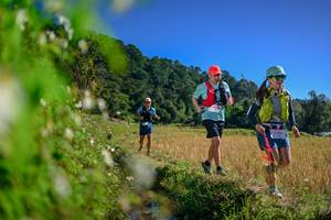 BIB: 
                            <button type="button" onclick="openModal(26580253)" class="btn btn-primary btn-sm float-right btn-popup" data-toggle="modal" data-target=".modal-high-quality">
                        <i class="fas fa-shopping-cart"></i> Add to Cart
                    </button>
                                            <button type="button" onclick="isThisMe(26580253, true)" class="btn btn-success btn-sm float-right btn-popup btn-isme hidden" data-toggle="tooltip" data-placement="bottom" title="นี่คือรูปของคุณใช่ไหม คลิกที่นี่เพื่อเอาเข้าอัลบั้ม">
                        <i class="fas fa-plus"></i> Add to album
                    </button>
                    <button type="button" onclick="isThisMe(26580253, false)" class="btn btn-warning btn-sm float-right btn-popup btn-isnotme hidden">
                        <i class="fas fa-ban"></i> Remove from album
                    </button>