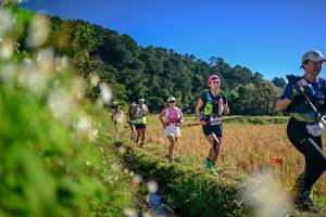 BIB: 
                            <button type="button" onclick="openModal(26571905)" class="btn btn-primary btn-sm float-right btn-popup" data-toggle="modal" data-target=".modal-high-quality">
                        <i class="fas fa-shopping-cart"></i> Add to Cart
                    </button>
                                            <button type="button" onclick="isThisMe(26571905, true)" class="btn btn-success btn-sm float-right btn-popup btn-isme hidden" data-toggle="tooltip" data-placement="bottom" title="นี่คือรูปของคุณใช่ไหม คลิกที่นี่เพื่อเอาเข้าอัลบั้ม">
                        <i class="fas fa-plus"></i> Add to album
                    </button>
                    <button type="button" onclick="isThisMe(26571905, false)" class="btn btn-warning btn-sm float-right btn-popup btn-isnotme hidden">
                        <i class="fas fa-ban"></i> Remove from album
                    </button>