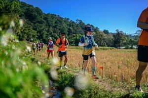 BIB: 
                            <button type="button" onclick="openModal(26579602)" class="btn btn-primary btn-sm float-right btn-popup" data-toggle="modal" data-target=".modal-high-quality">
                        <i class="fas fa-shopping-cart"></i> Add to Cart
                    </button>
                                            <button type="button" onclick="isThisMe(26579602, true)" class="btn btn-success btn-sm float-right btn-popup btn-isme hidden" data-toggle="tooltip" data-placement="bottom" title="นี่คือรูปของคุณใช่ไหม คลิกที่นี่เพื่อเอาเข้าอัลบั้ม">
                        <i class="fas fa-plus"></i> Add to album
                    </button>
                    <button type="button" onclick="isThisMe(26579602, false)" class="btn btn-warning btn-sm float-right btn-popup btn-isnotme hidden">
                        <i class="fas fa-ban"></i> Remove from album
                    </button>