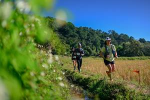 BIB: 
                            <button type="button" onclick="openModal(26580873)" class="btn btn-primary btn-sm float-right btn-popup" data-toggle="modal" data-target=".modal-high-quality">
                        <i class="fas fa-shopping-cart"></i> Add to Cart
                    </button>
                                            <button type="button" onclick="isThisMe(26580873, true)" class="btn btn-success btn-sm float-right btn-popup btn-isme hidden" data-toggle="tooltip" data-placement="bottom" title="นี่คือรูปของคุณใช่ไหม คลิกที่นี่เพื่อเอาเข้าอัลบั้ม">
                        <i class="fas fa-plus"></i> Add to album
                    </button>
                    <button type="button" onclick="isThisMe(26580873, false)" class="btn btn-warning btn-sm float-right btn-popup btn-isnotme hidden">
                        <i class="fas fa-ban"></i> Remove from album
                    </button>