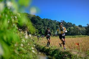 BIB: 
                            <button type="button" onclick="openModal(26580895)" class="btn btn-primary btn-sm float-right btn-popup" data-toggle="modal" data-target=".modal-high-quality">
                        <i class="fas fa-shopping-cart"></i> Add to Cart
                    </button>
                                            <button type="button" onclick="isThisMe(26580895, true)" class="btn btn-success btn-sm float-right btn-popup btn-isme hidden" data-toggle="tooltip" data-placement="bottom" title="นี่คือรูปของคุณใช่ไหม คลิกที่นี่เพื่อเอาเข้าอัลบั้ม">
                        <i class="fas fa-plus"></i> Add to album
                    </button>
                    <button type="button" onclick="isThisMe(26580895, false)" class="btn btn-warning btn-sm float-right btn-popup btn-isnotme hidden">
                        <i class="fas fa-ban"></i> Remove from album
                    </button>