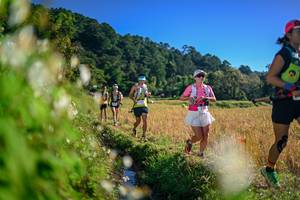 BIB: 
                            <button type="button" onclick="openModal(26571920)" class="btn btn-primary btn-sm float-right btn-popup" data-toggle="modal" data-target=".modal-high-quality">
                        <i class="fas fa-shopping-cart"></i> Add to Cart
                    </button>
                                            <button type="button" onclick="isThisMe(26571920, true)" class="btn btn-success btn-sm float-right btn-popup btn-isme hidden" data-toggle="tooltip" data-placement="bottom" title="นี่คือรูปของคุณใช่ไหม คลิกที่นี่เพื่อเอาเข้าอัลบั้ม">
                        <i class="fas fa-plus"></i> Add to album
                    </button>
                    <button type="button" onclick="isThisMe(26571920, false)" class="btn btn-warning btn-sm float-right btn-popup btn-isnotme hidden">
                        <i class="fas fa-ban"></i> Remove from album
                    </button>