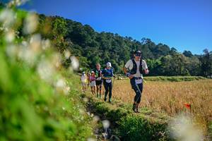 BIB: 
                            <button type="button" onclick="openModal(26571891)" class="btn btn-primary btn-sm float-right btn-popup" data-toggle="modal" data-target=".modal-high-quality">
                        <i class="fas fa-shopping-cart"></i> Add to Cart
                    </button>
                                            <button type="button" onclick="isThisMe(26571891, true)" class="btn btn-success btn-sm float-right btn-popup btn-isme hidden" data-toggle="tooltip" data-placement="bottom" title="นี่คือรูปของคุณใช่ไหม คลิกที่นี่เพื่อเอาเข้าอัลบั้ม">
                        <i class="fas fa-plus"></i> Add to album
                    </button>
                    <button type="button" onclick="isThisMe(26571891, false)" class="btn btn-warning btn-sm float-right btn-popup btn-isnotme hidden">
                        <i class="fas fa-ban"></i> Remove from album
                    </button>