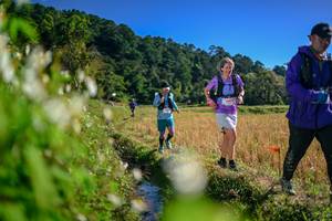 BIB: 
                            <button type="button" onclick="openModal(26573371)" class="btn btn-primary btn-sm float-right btn-popup" data-toggle="modal" data-target=".modal-high-quality">
                        <i class="fas fa-shopping-cart"></i> Add to Cart
                    </button>
                                            <button type="button" onclick="isThisMe(26573371, true)" class="btn btn-success btn-sm float-right btn-popup btn-isme hidden" data-toggle="tooltip" data-placement="bottom" title="นี่คือรูปของคุณใช่ไหม คลิกที่นี่เพื่อเอาเข้าอัลบั้ม">
                        <i class="fas fa-plus"></i> Add to album
                    </button>
                    <button type="button" onclick="isThisMe(26573371, false)" class="btn btn-warning btn-sm float-right btn-popup btn-isnotme hidden">
                        <i class="fas fa-ban"></i> Remove from album
                    </button>