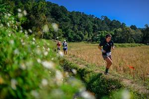 BIB: 
                            <button type="button" onclick="openModal(26582450)" class="btn btn-primary btn-sm float-right btn-popup" data-toggle="modal" data-target=".modal-high-quality">
                        <i class="fas fa-shopping-cart"></i> Add to Cart
                    </button>
                                            <button type="button" onclick="isThisMe(26582450, true)" class="btn btn-success btn-sm float-right btn-popup btn-isme hidden" data-toggle="tooltip" data-placement="bottom" title="นี่คือรูปของคุณใช่ไหม คลิกที่นี่เพื่อเอาเข้าอัลบั้ม">
                        <i class="fas fa-plus"></i> Add to album
                    </button>
                    <button type="button" onclick="isThisMe(26582450, false)" class="btn btn-warning btn-sm float-right btn-popup btn-isnotme hidden">
                        <i class="fas fa-ban"></i> Remove from album
                    </button>