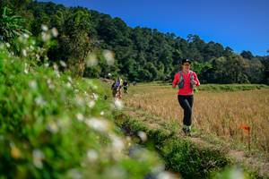 BIB: 
                            <button type="button" onclick="openModal(26582270)" class="btn btn-primary btn-sm float-right btn-popup" data-toggle="modal" data-target=".modal-high-quality">
                        <i class="fas fa-shopping-cart"></i> Add to Cart
                    </button>
                                            <button type="button" onclick="isThisMe(26582270, true)" class="btn btn-success btn-sm float-right btn-popup btn-isme hidden" data-toggle="tooltip" data-placement="bottom" title="นี่คือรูปของคุณใช่ไหม คลิกที่นี่เพื่อเอาเข้าอัลบั้ม">
                        <i class="fas fa-plus"></i> Add to album
                    </button>
                    <button type="button" onclick="isThisMe(26582270, false)" class="btn btn-warning btn-sm float-right btn-popup btn-isnotme hidden">
                        <i class="fas fa-ban"></i> Remove from album
                    </button>