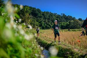 BIB: 
                            <button type="button" onclick="openModal(26575297)" class="btn btn-primary btn-sm float-right btn-popup" data-toggle="modal" data-target=".modal-high-quality">
                        <i class="fas fa-shopping-cart"></i> Add to Cart
                    </button>
                                            <button type="button" onclick="isThisMe(26575297, true)" class="btn btn-success btn-sm float-right btn-popup btn-isme hidden" data-toggle="tooltip" data-placement="bottom" title="นี่คือรูปของคุณใช่ไหม คลิกที่นี่เพื่อเอาเข้าอัลบั้ม">
                        <i class="fas fa-plus"></i> Add to album
                    </button>
                    <button type="button" onclick="isThisMe(26575297, false)" class="btn btn-warning btn-sm float-right btn-popup btn-isnotme hidden">
                        <i class="fas fa-ban"></i> Remove from album
                    </button>