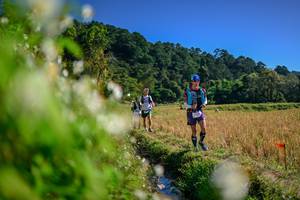 BIB: 
                            <button type="button" onclick="openModal(26573708)" class="btn btn-primary btn-sm float-right btn-popup" data-toggle="modal" data-target=".modal-high-quality">
                        <i class="fas fa-shopping-cart"></i> Add to Cart
                    </button>
                                            <button type="button" onclick="isThisMe(26573708, true)" class="btn btn-success btn-sm float-right btn-popup btn-isme hidden" data-toggle="tooltip" data-placement="bottom" title="นี่คือรูปของคุณใช่ไหม คลิกที่นี่เพื่อเอาเข้าอัลบั้ม">
                        <i class="fas fa-plus"></i> Add to album
                    </button>
                    <button type="button" onclick="isThisMe(26573708, false)" class="btn btn-warning btn-sm float-right btn-popup btn-isnotme hidden">
                        <i class="fas fa-ban"></i> Remove from album
                    </button>