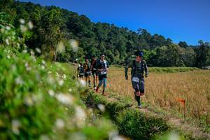 BIB: 
                            <button type="button" onclick="openModal(26582031)" class="btn btn-primary btn-sm float-right btn-popup" data-toggle="modal" data-target=".modal-high-quality">
                        <i class="fas fa-shopping-cart"></i> Add to Cart
                    </button>
                                            <button type="button" onclick="isThisMe(26582031, true)" class="btn btn-success btn-sm float-right btn-popup btn-isme hidden" data-toggle="tooltip" data-placement="bottom" title="นี่คือรูปของคุณใช่ไหม คลิกที่นี่เพื่อเอาเข้าอัลบั้ม">
                        <i class="fas fa-plus"></i> Add to album
                    </button>
                    <button type="button" onclick="isThisMe(26582031, false)" class="btn btn-warning btn-sm float-right btn-popup btn-isnotme hidden">
                        <i class="fas fa-ban"></i> Remove from album
                    </button>