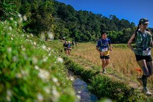 BIB: 
                            <button type="button" onclick="openModal(26581735)" class="btn btn-primary btn-sm float-right btn-popup" data-toggle="modal" data-target=".modal-high-quality">
                        <i class="fas fa-shopping-cart"></i> Add to Cart
                    </button>
                                            <button type="button" onclick="isThisMe(26581735, true)" class="btn btn-success btn-sm float-right btn-popup btn-isme hidden" data-toggle="tooltip" data-placement="bottom" title="นี่คือรูปของคุณใช่ไหม คลิกที่นี่เพื่อเอาเข้าอัลบั้ม">
                        <i class="fas fa-plus"></i> Add to album
                    </button>
                    <button type="button" onclick="isThisMe(26581735, false)" class="btn btn-warning btn-sm float-right btn-popup btn-isnotme hidden">
                        <i class="fas fa-ban"></i> Remove from album
                    </button>